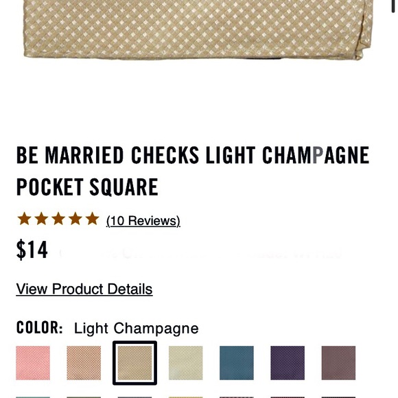 NEW The Tie Bar Champagne Pocket Squares - Picture 6 of 7